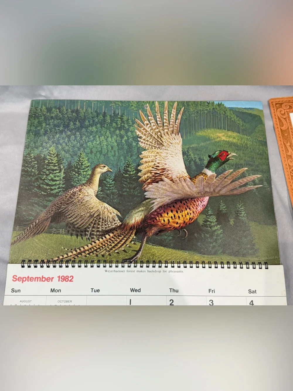 Vintage-1982 Wall Art Calendar set of 2